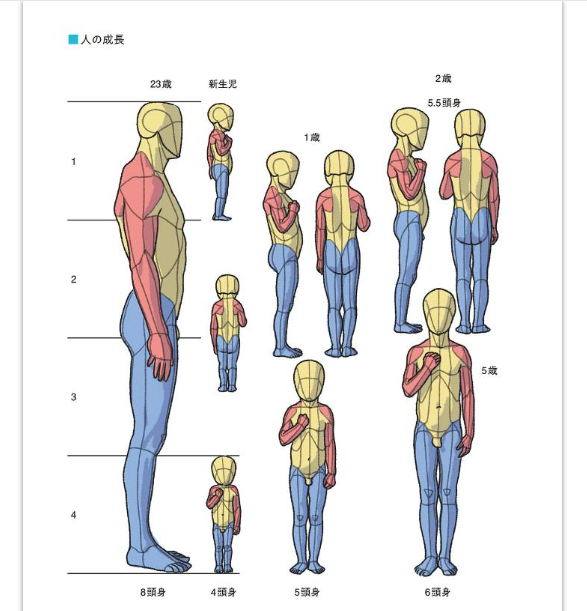 ポーズ美術解剖学-書籍サンプル